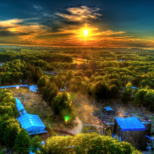 ElectricForest_SunsetView