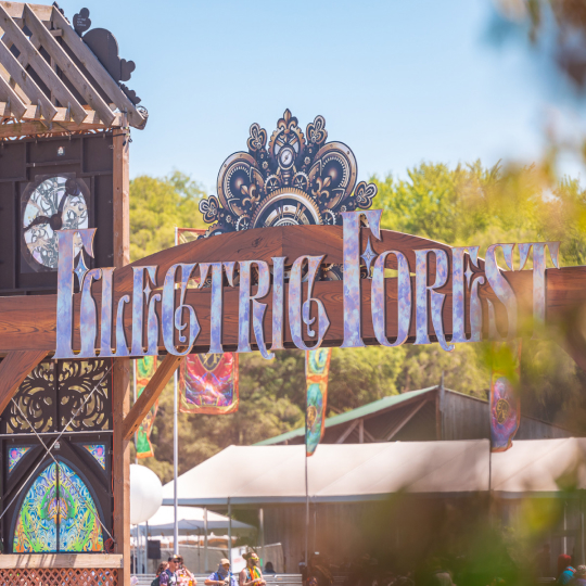 ElectricForest_Sign